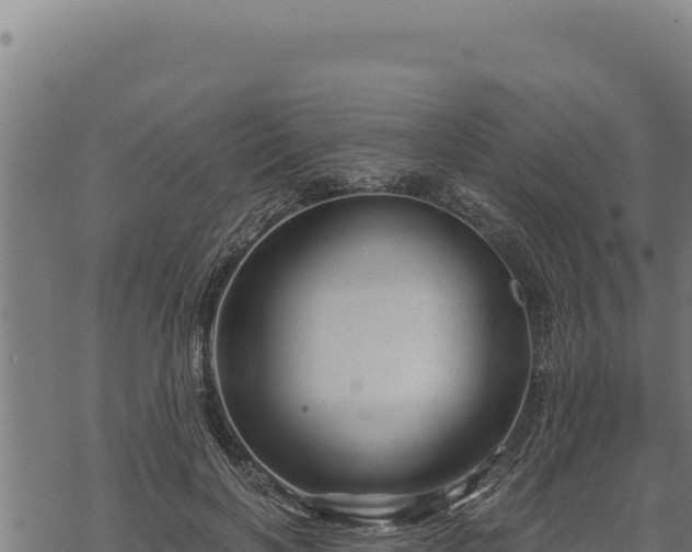 X0000068830646200605121342