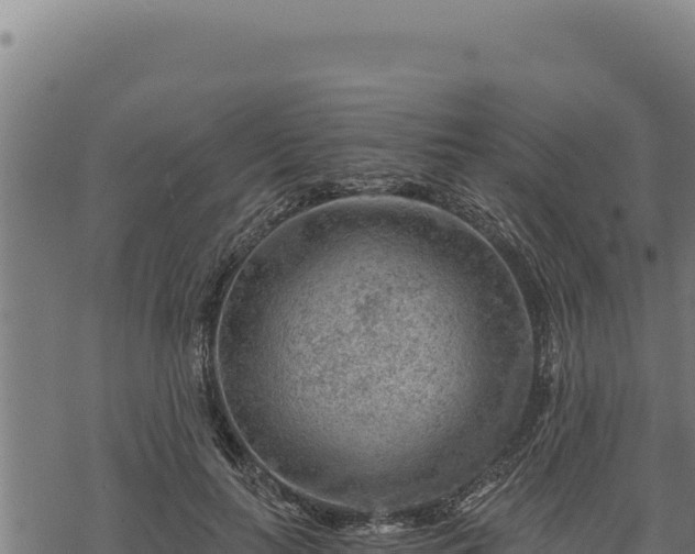 X0000068830647200605121342