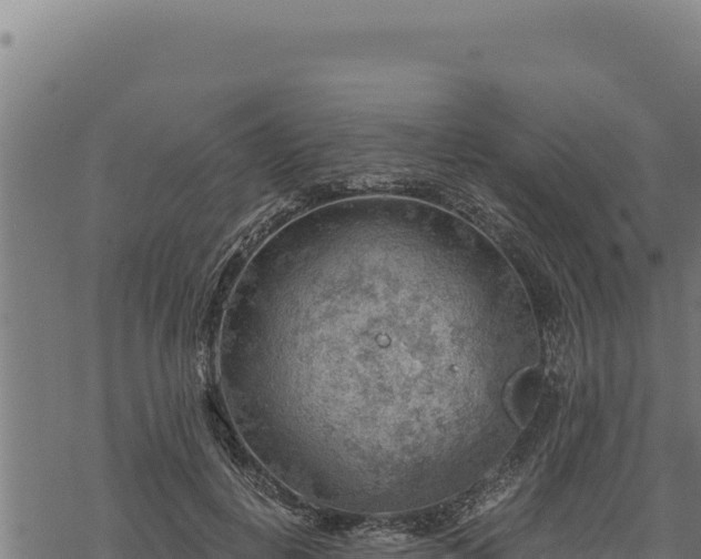 X0000068830648200605121342