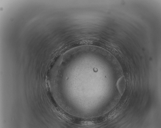 X0000068830649200605121342