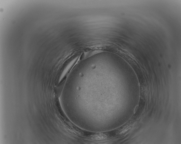 X0000068830652200605121342