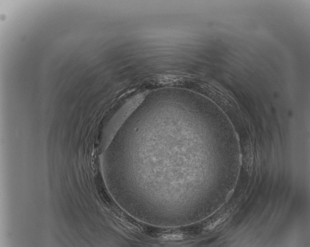 X0000068830653200605121342