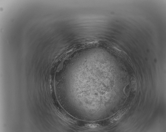 X0000068830654200605121342