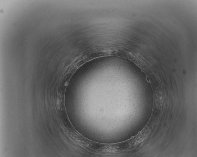 X0000068830656200605121342