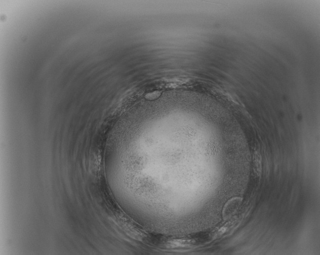 X0000068830657200605121342