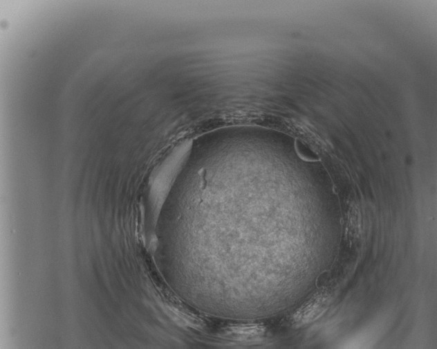 X0000068830659200605121342