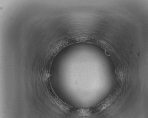 X0000068830660200605121342