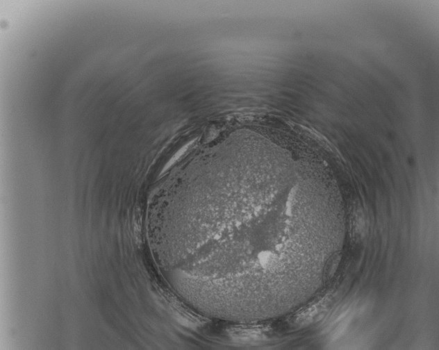 X0000068830661200605121342