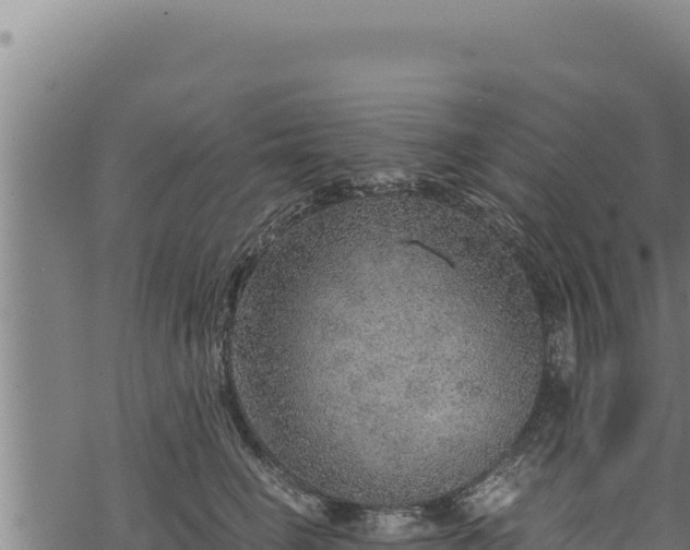 X0000068830662200605121342