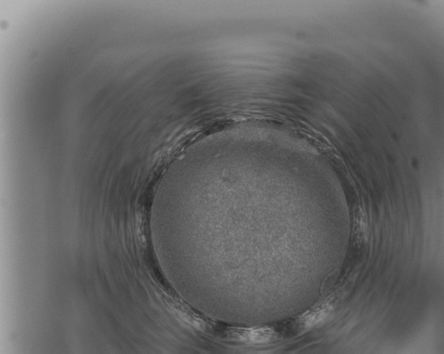 X0000068830663200605121342