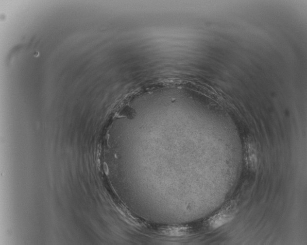 X0000068830664200605121342