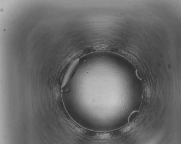 X0000068830665200605121342