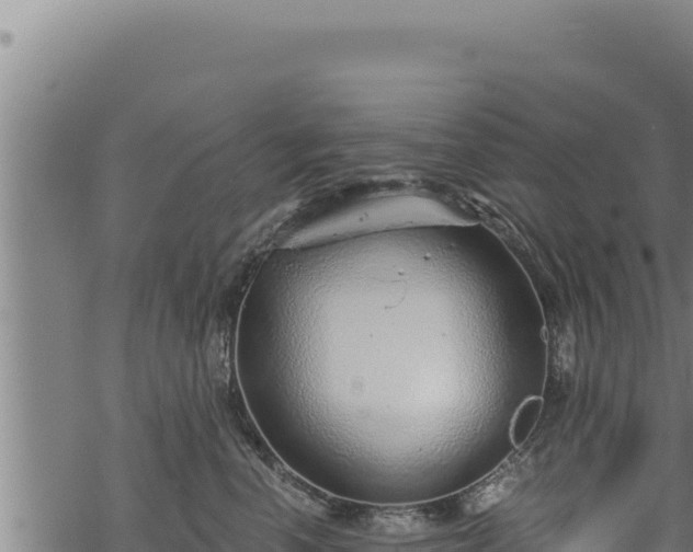 X0000068830666200605121343