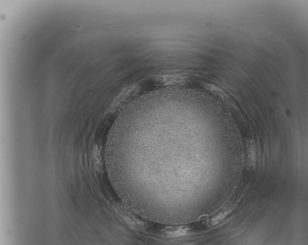 X0000068830667200605121343