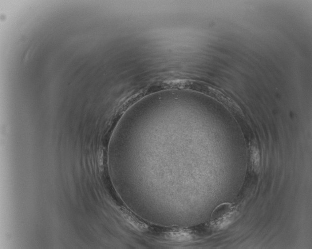 X0000068830668200605121343