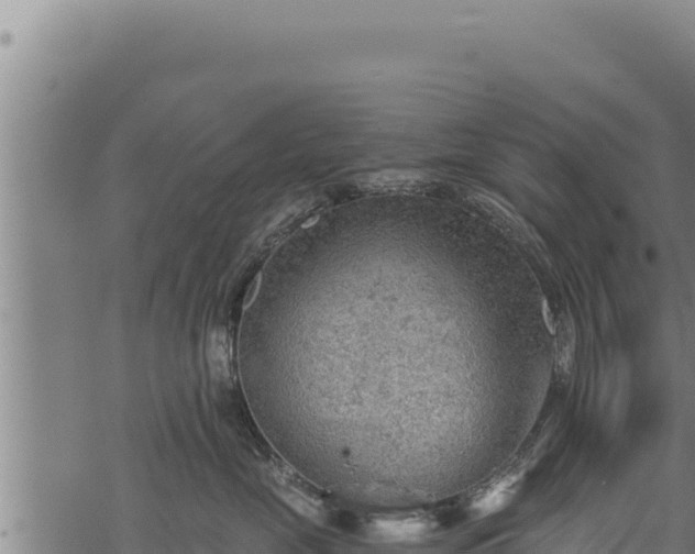 X0000068830669200605121343