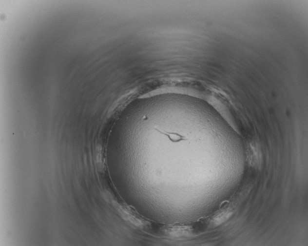 X0000068830670200605121343