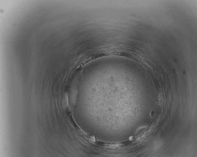 X0000068830671200605121343