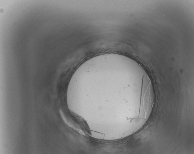 X0000068830672200605121343