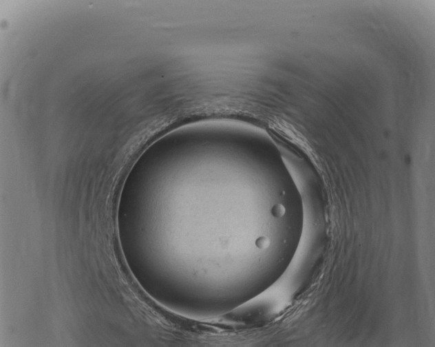 X0000068830673200605121342