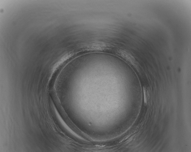 X0000068830675200605121342