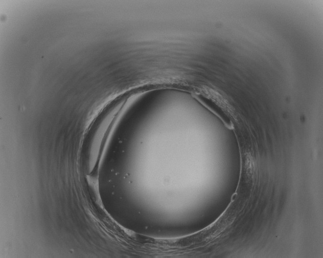 X0000068830676200605121342