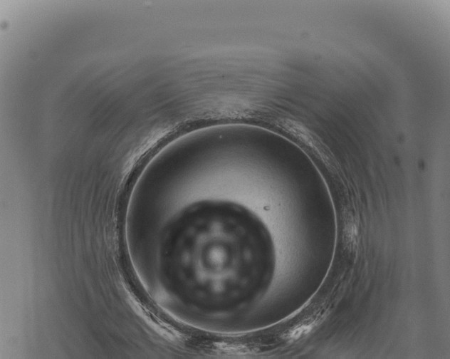 X0000068830677200605121342