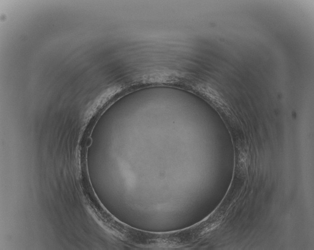 X0000068830678200605121342