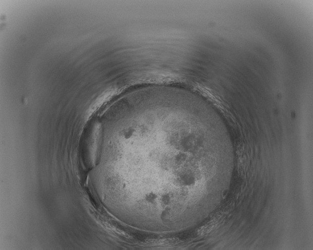 X0000068830679200605121342