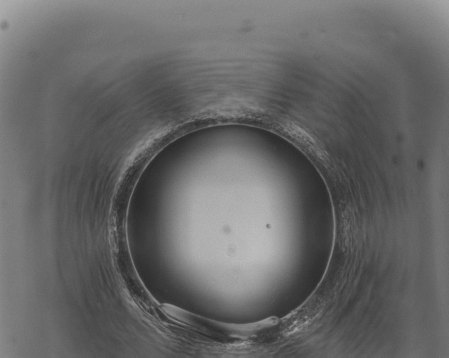 X0000068830680200605121342