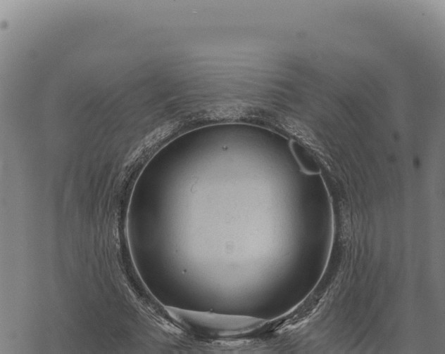 X0000068830681200605121342