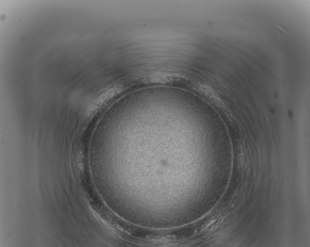 X0000068830683200605121342