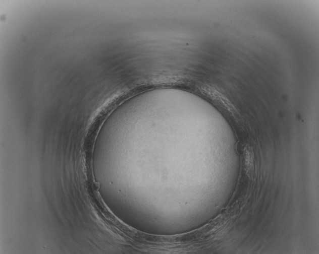 X0000068830684200605121342