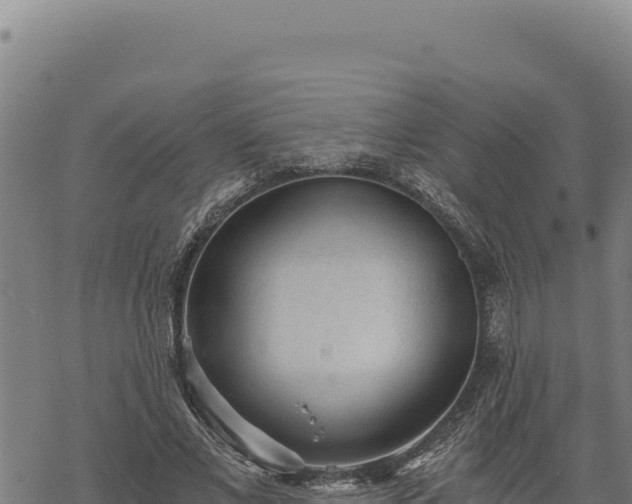 X0000068830685200605121342