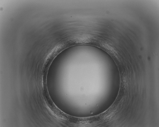 X0000068830686200605121342