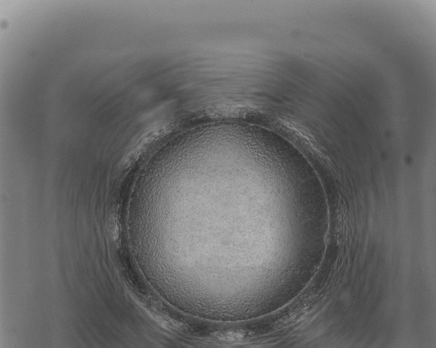 X0000068830687200605121342