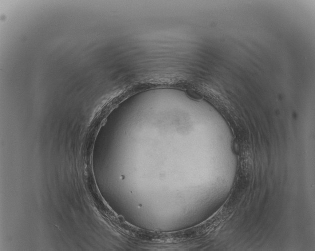 X0000068830688200605121342