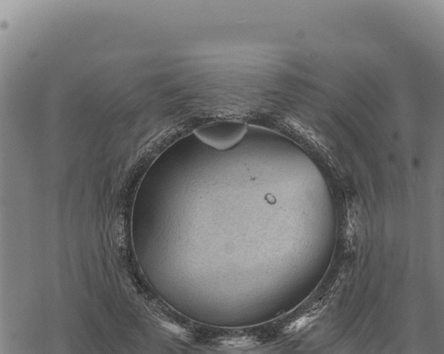 X0000068830689200605121342