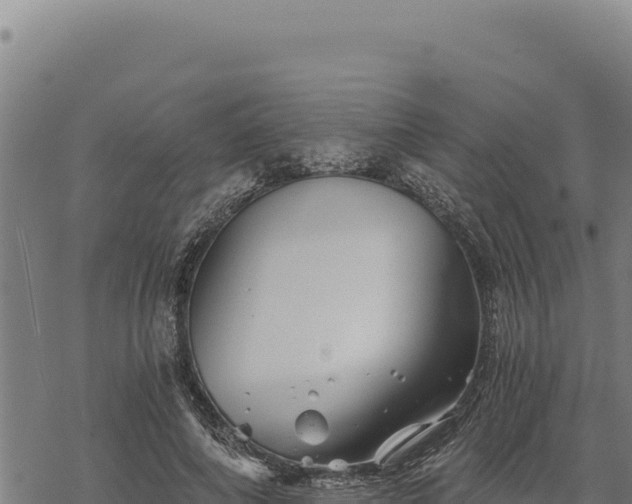 X0000068830690200605121342