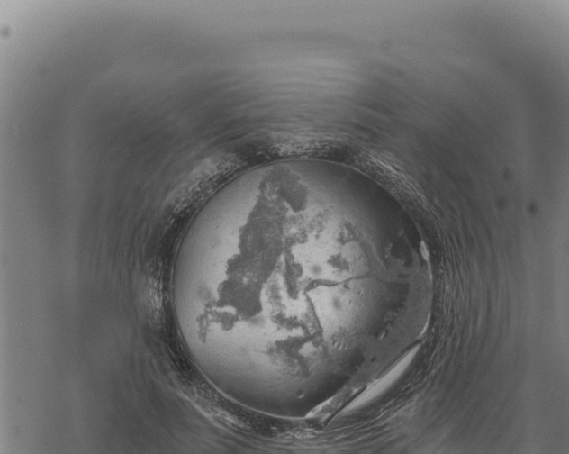 X0000068830691200605121342