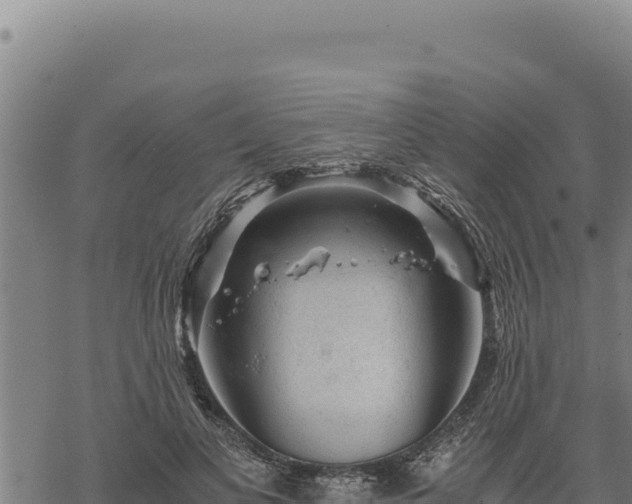 X0000068830693200605121342