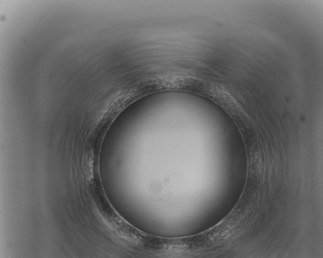 X0000068830694200605121341