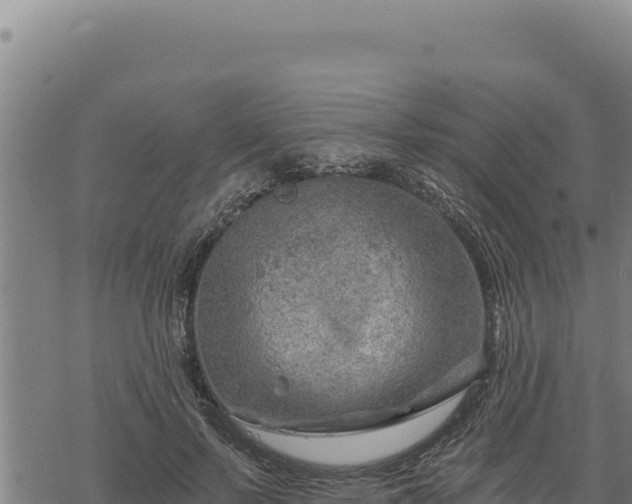 X0000068830695200605121341