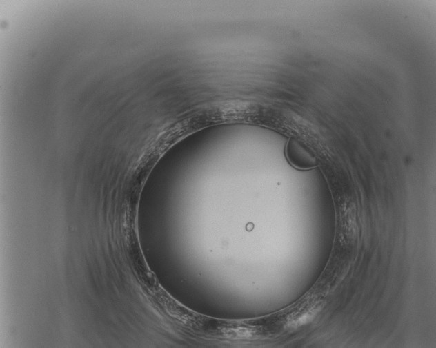 X0000068830698200605121341