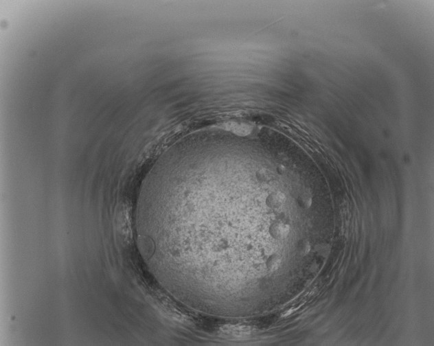 X0000068830699200605121341