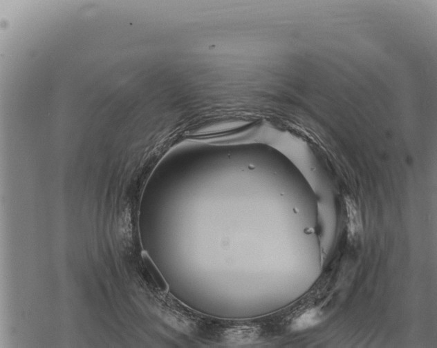 X0000068830700200605121341