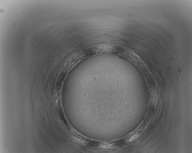 X0000068830701200605121341