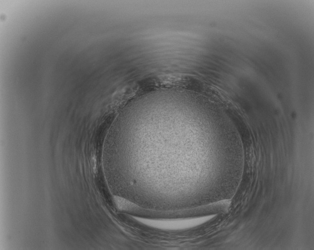 X0000068830703200605121341