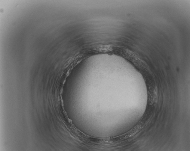 X0000068830704200605121341