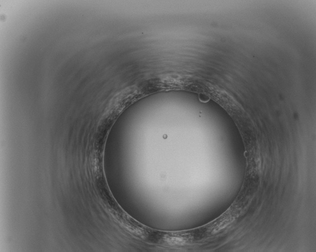 X0000068830706200605121341